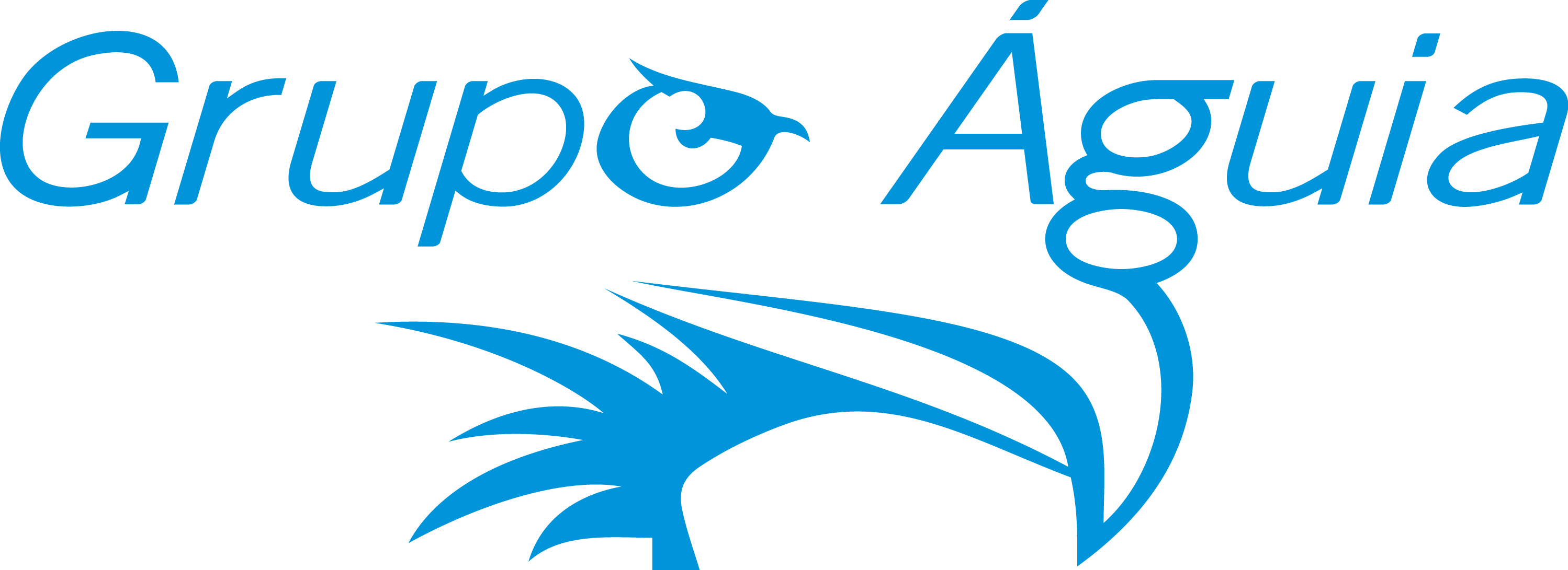 Grupo Águia